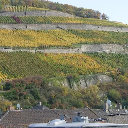 Apartment Rheinblick *