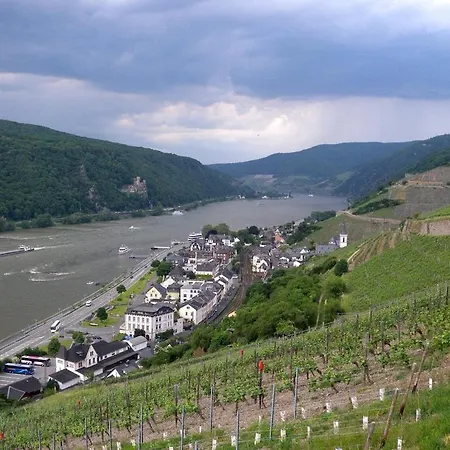 Rheinblick Apartment *