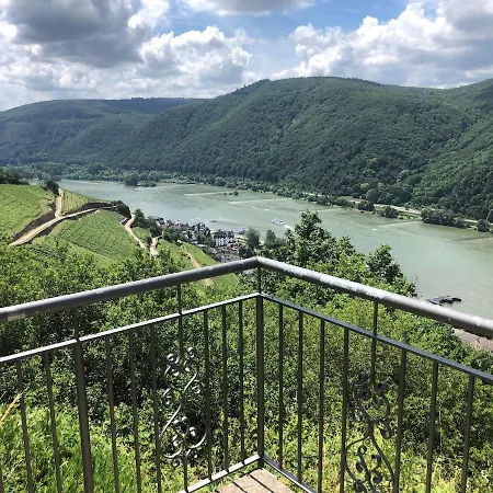 Rheinblick