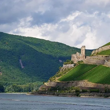 Rheinblick * Ruedesheim am Rhein